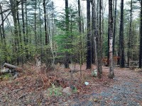 Commercial LakeFront Lot in Wells