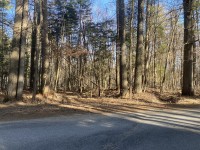 Commercial LakeFront Lot in Speculator