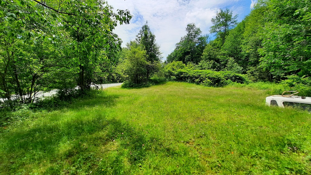 Adirondack Lot in  Lake Pleasant