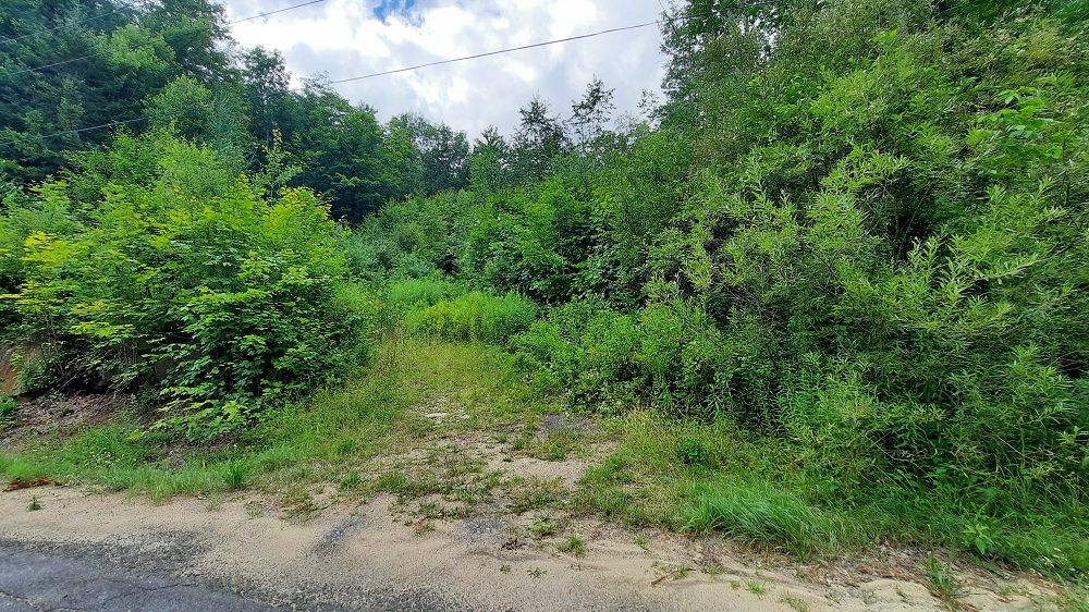 Adirondack Lot in  Lake Pleasant