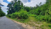 Adirondack Lot in  Lake Pleasant