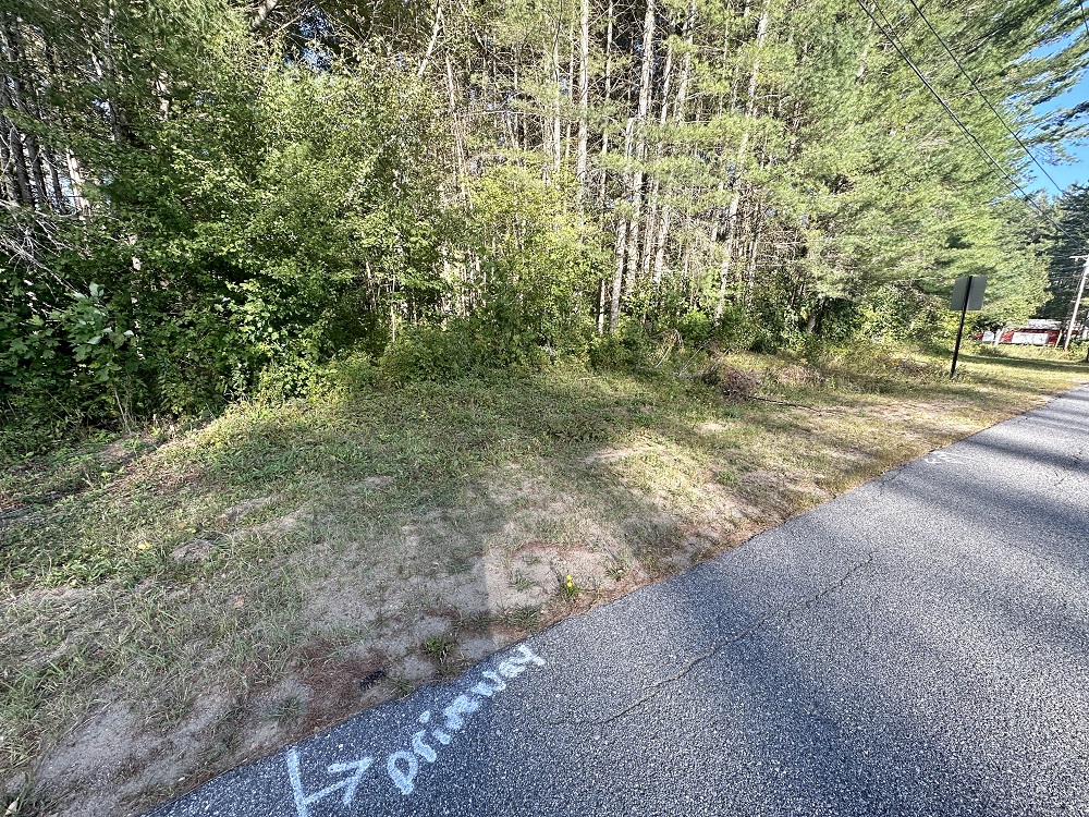 Adirondack  Lot in Speculator