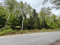 Commercial LakeFront Lot in Piseco
